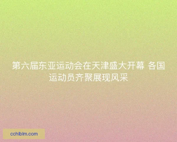 第六届东亚运动会在天津盛大开幕 各国运动员齐聚展现风采